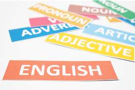 language learning preferences